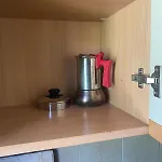 Selva 1